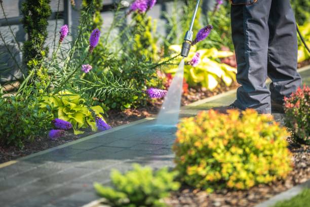 Reliable Franklin Park, IL Pressure Washing Services Solutions